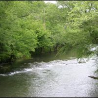 Bluewater Creek at CR71, Лексингтон