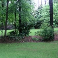 An Alabama backyard, Нортпорт