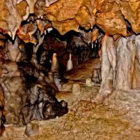 Florida Caverns #1, Ньювилл
