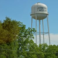 Covington County water tower, Онича