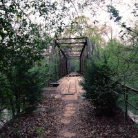 The Forgotten Bridge, Триана