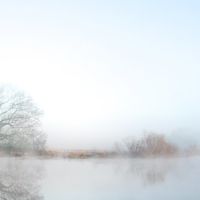 Runoff Pond On Misty Morning, Триана