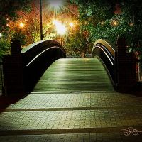 bridge of dreams, Феникс-Сити