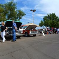 Glendale,AZ: Restored Ford Auto Show, 1960s F-100 pickups 2011,, Глендейл