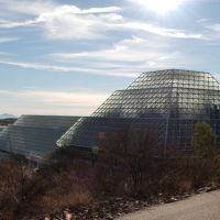 Biosphere 2, Оракл