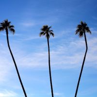Three Palms, Сан-Сити
