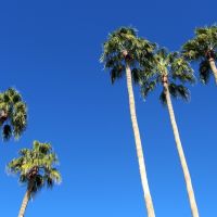 Five Palms, Сан-Сити