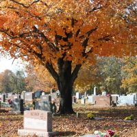 Babtist Ford Cemetery, Вашингтон