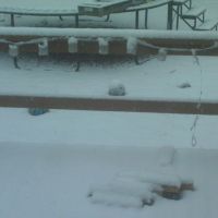 Snow in 2011, Винн