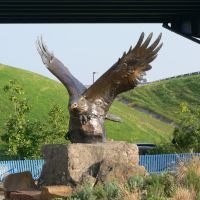 Eagle across from Clinton Presidential Library gift shop by Joe Recer, Литтл-Рок