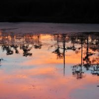 Sunset at Black Bayou Lake NWR, Смаковер