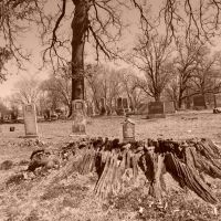 Elm Springs Cemetery, Elm Springs, Arkansas, Тонтитаун
