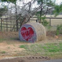 Hay! Happy Valentines Day!, Эмерсон