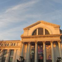 Smithsonian National Museum of Natural History, Беллевуэ