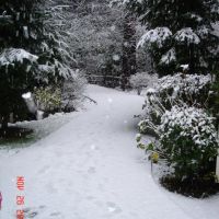 Snow in Everett, Интерсити
