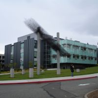 Bellevue Community College, WA, Истгейт