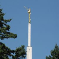 Gold trumpeter at the LDS Temple in Belllevue, WA, Истгейт