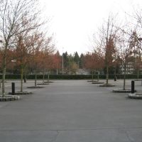 Expedia Bellevue - Building 1 & 2 Parking Lot (Looking South), Истгейт