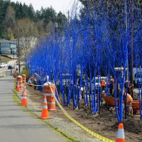 Installation of a very cool public art project in Kenmore Wa., Кенмор