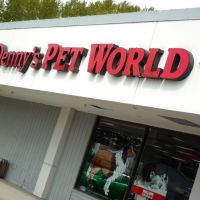 Dennys Pet World, Кингсгейт