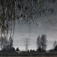 Totem Lake Flipped Power Line Reflection. Kirkland, Washington, Кингсгейт