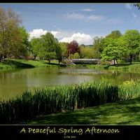 Peaceful Spring Afternoon, Лонгвью
