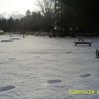 Traces on the snow,..Longview Wa,USA., Лонгвью