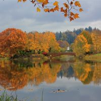 Autumn Foliage, Лонгвью