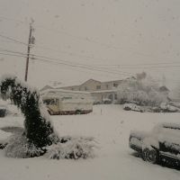 The snow of Mount Vernon, Маунт-Вернон