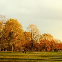 Cảnh Thu  (Autumn view), Ньюпорт-Хиллс