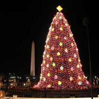 Big Christmas Tree, Порт-Анжелес