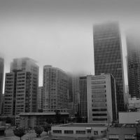 Seattle entre la niebla, Сиэттл