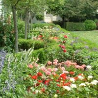 Rose Garden of White House, Томпсон-Плэйс
