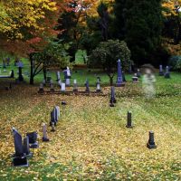 Evergreen Graveyard Ghost, Эверетт