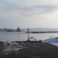 Waterfront, ducks & gulls, Берлингтон