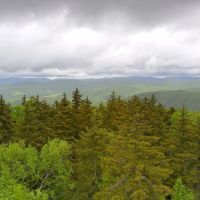Vermont Forest from Allis State Park Firetower, Монпелье