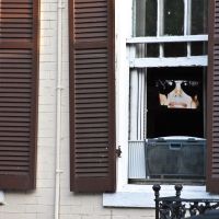 A TV Through The Window, Александрия