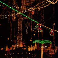 Holiday Lights, Аннандейл