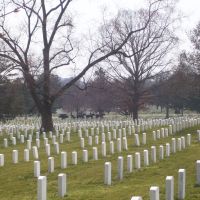 Arlington Cemetery Funeral Carriage, Арлингтон
