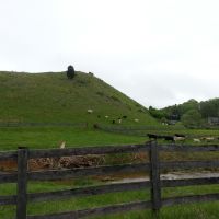 Vaches en Virginie, Блу-Ридж