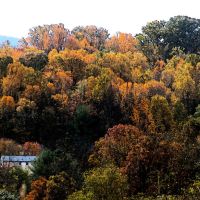 Fall Foliage, Кейв-Спринг