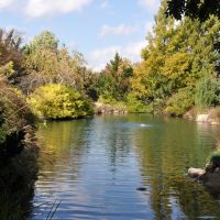 The Pond in the West Island Garden - Lewis Ginter Botanical Gardens - H&M, Лейксайд
