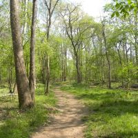 Inviting path, Манассас-Парк