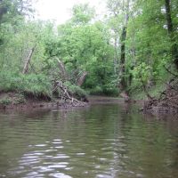the mouth of Leland creek, Манассас-Парк