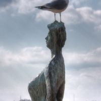 Jonathan Livingston Seagull on the Peaks of Otter, Портсмут