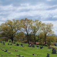 Trees at Westview Cemetery, Radford VA, Радфорд