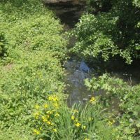 Four Mile Run Stream Restoration, Севен-Корнерс
