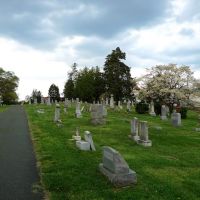 Oakwood Cemetery, Чарлоттесвилл