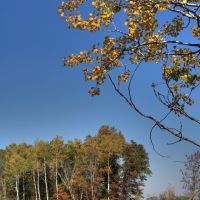 Fall Colors along the Sugar River Bike Trail, Олбани