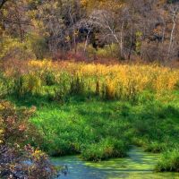 Colorful Autumn Pond along the Sugar River Bike Path,  WI, Олбани